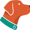 Off and On — Rocket the fox red lab